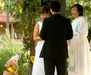 Zoey, assisting at the marriage of Mandy Locke and Alex Granados