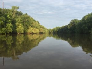 The Neuse River, on a beautiful day.