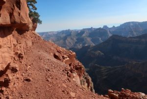 Several miles of the Nankoweap Trail look a lot like this.