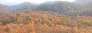 The view from the top of Mark's tower.